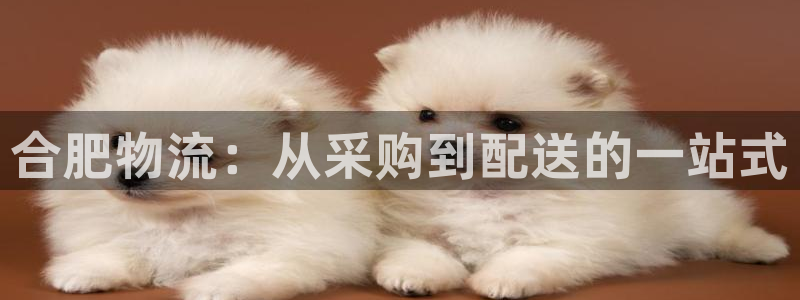 28圈模拟器