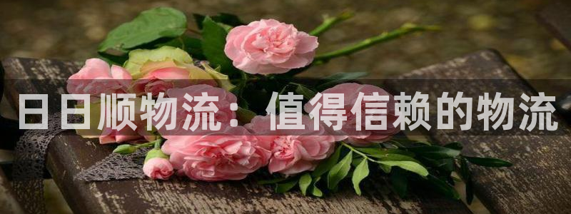 28圈注册官网：日日顺物流：值得信赖