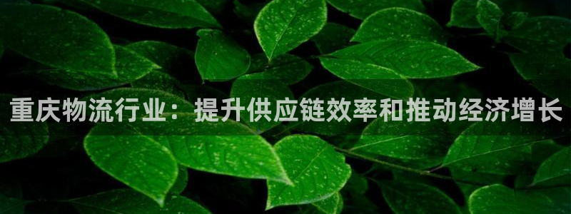 28圈官方官网版
