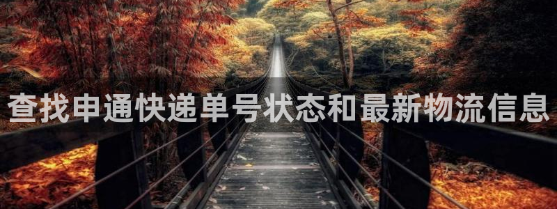 28圈比特28预测在线预测