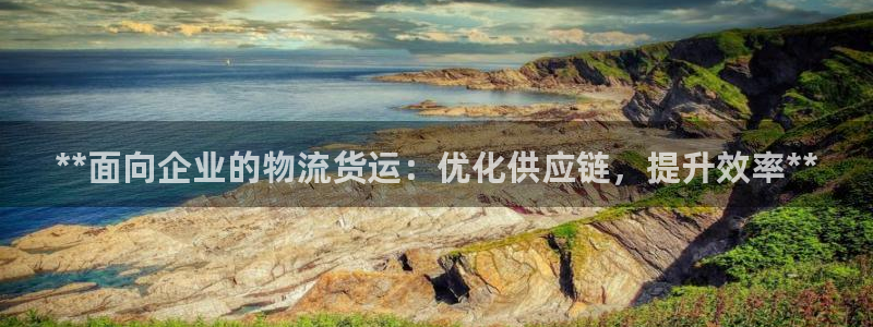 28圈注册网页版：**面向企业的物流