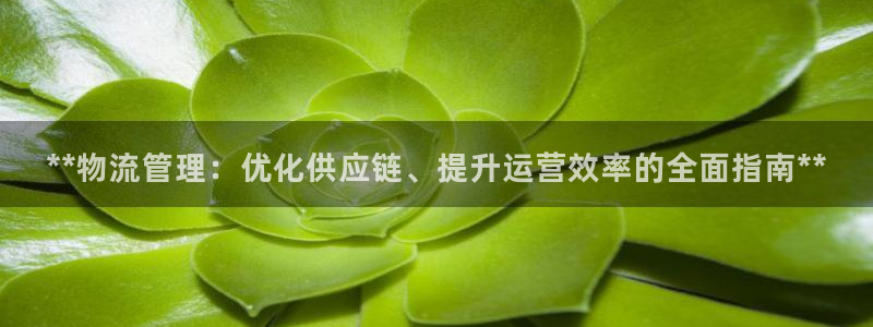 28圈怎么注册：**物流管理：优化供