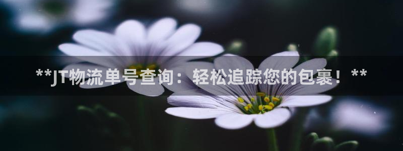 28圈预测加拿大：**JT物流单号查