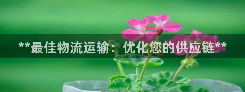 28圈p图上分下款通道：**最佳物流