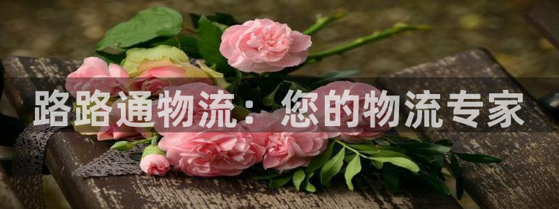 28圈登录不上咋回事：路路通物流：您
