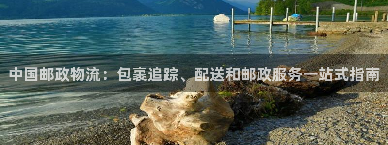 28圈官网开奖结果预测
