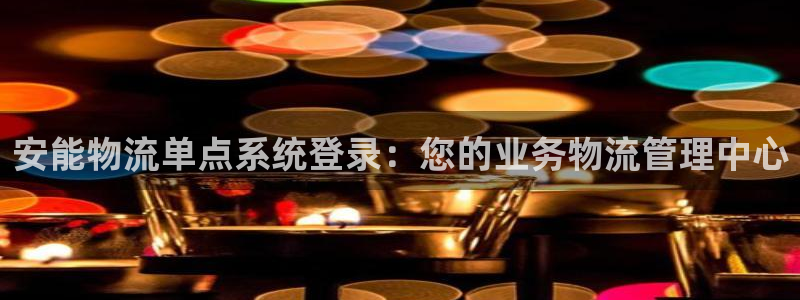 28圈官网版2024：安能物流单点系