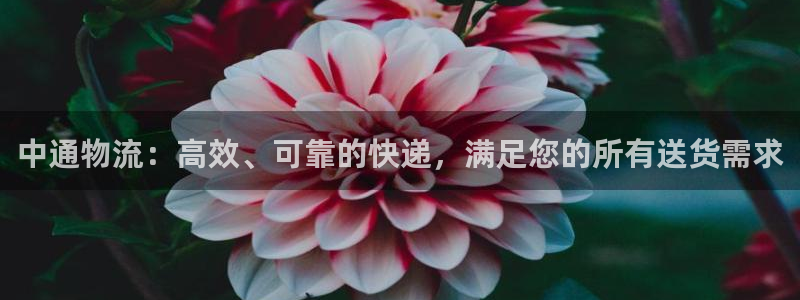 28圈pg麻将胡了2老是空转：中通物