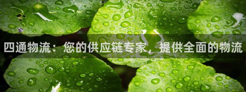 28圈系统自动保护：四通物流：您的供