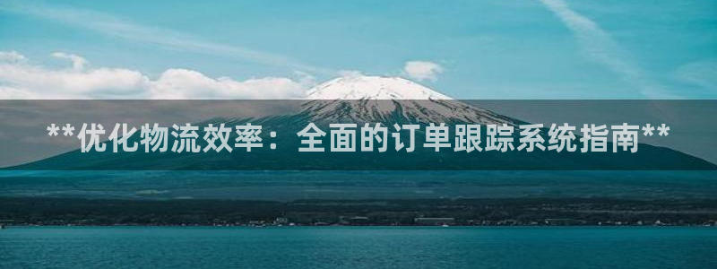 28圈分分压单双技巧：**优化物流效