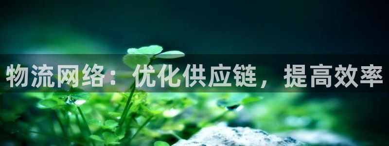 28圈取保