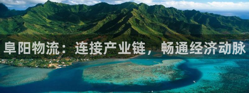 28圈官方网站