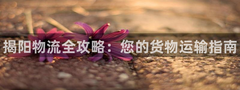 28圈充值不处理怎么办：揭阳物流全攻