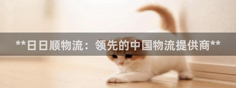 28圈口内径是多大