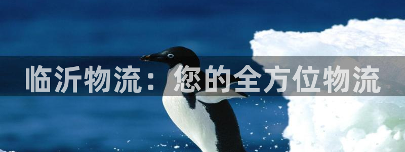 28圈登录网：临沂物流：您的全方位物
