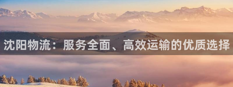 28圈怎么注册账号：沈阳物流：服务全