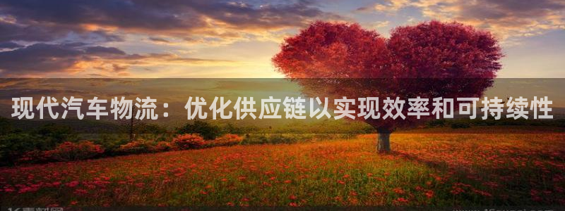 28圈正规吗：现代汽车物流：优化供应