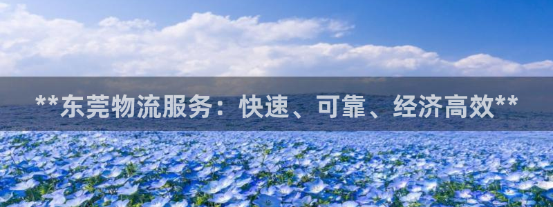 28圈官方版正版：**东莞物流服务：