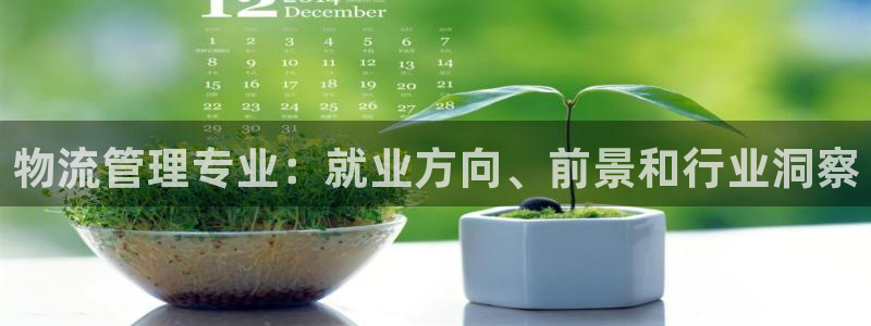 28圈退款教程：物流管理专业：就业方
