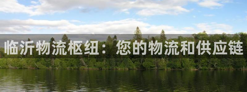 加拿大28圈数字规则：临沂物流枢纽：