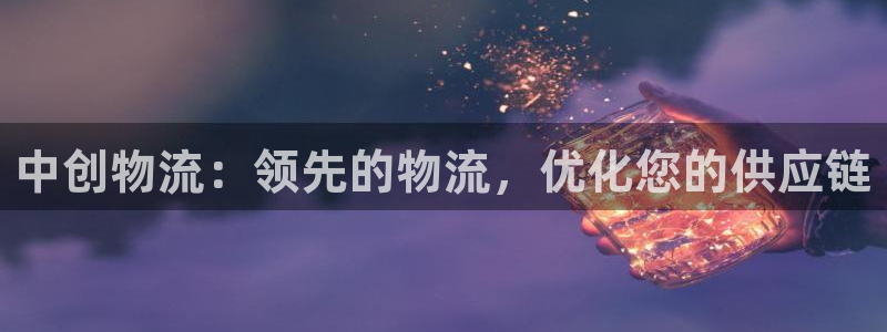 28圈登录流程：中创物流：领先的物流
