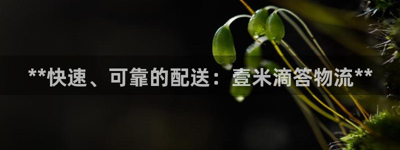 28圈圈助手：**快速、可靠的配送：