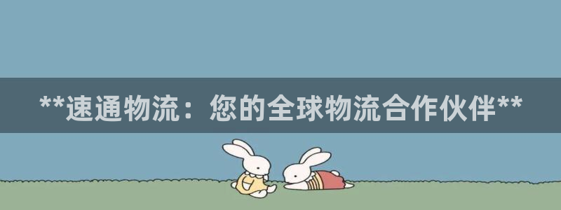 28圈圈助手：**速通物流：您的全球