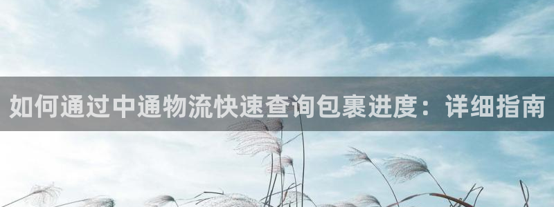 28圈p图上分下款通道