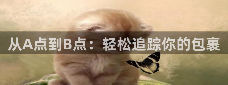 28圈加拿大6.0