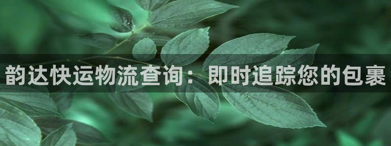 28圈怎么注册下载：韵达快运物流查询