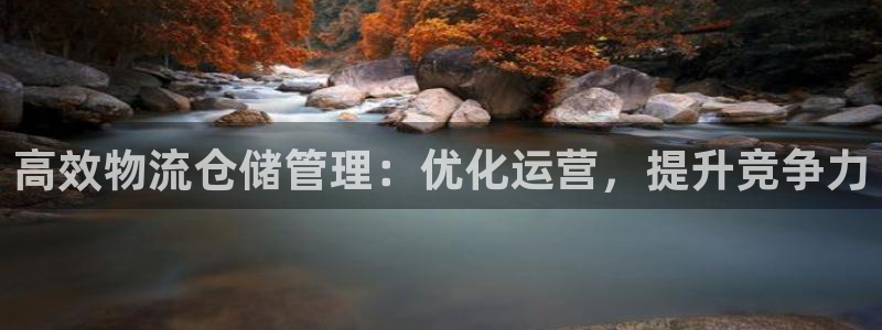 28圈预测加拿大：高效物流仓储管理：