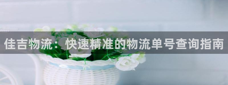 28圈和南宫28什么关系：佳吉物流：