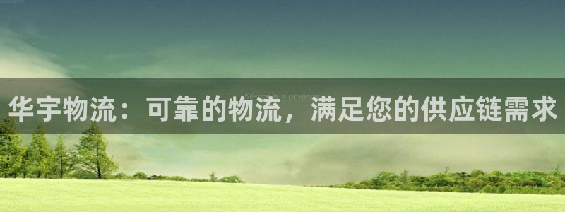 28圈注册步骤：华宇物流：可靠的物流