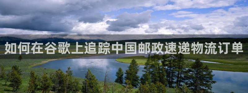 28圈在线预测