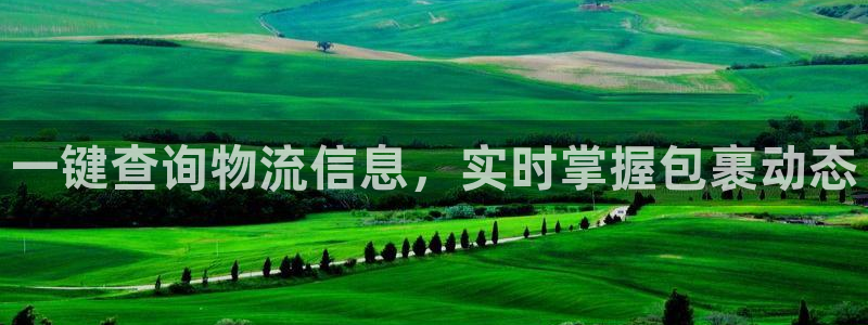 28圈比特28真实吗：一键查询物流信