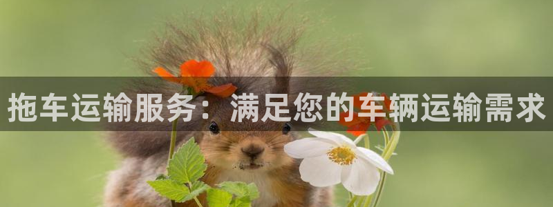 加拿大28圈是什么