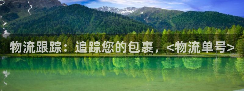 28圈初始资金密码在哪里改：物流跟踪