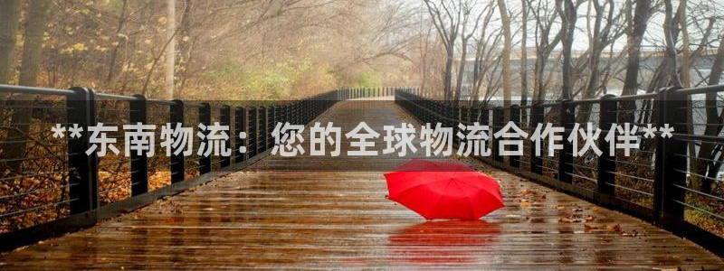 28圈注册链接教程：**东南物流：您