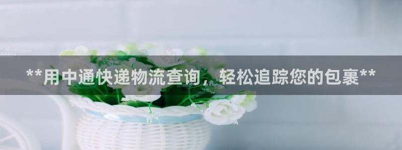 28圈娱乐官网网页入口
