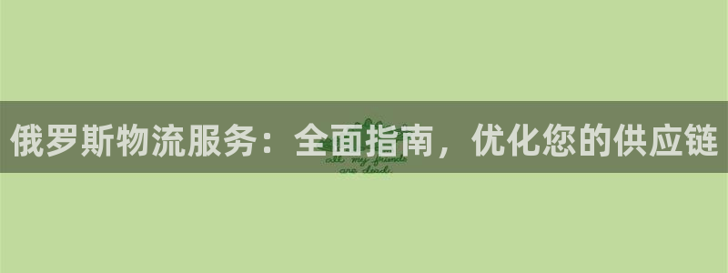 28圈模拟器下载：俄罗斯物流服务：全