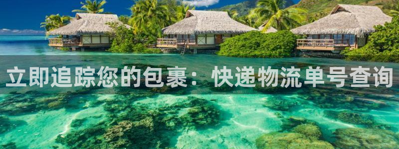 28圈注册与教程：立即追踪您的包裹：