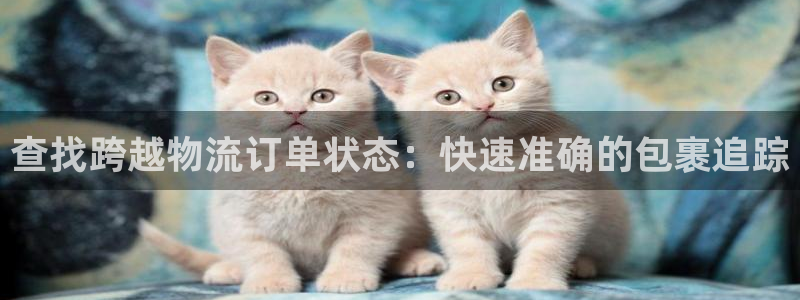 28圈是什么是赌博吗?：查找跨越物流