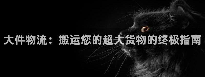 28圈连输10天：大件物流：搬运您的