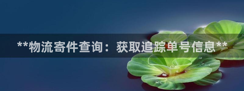 28圈注册地址：**物流寄件查询：获