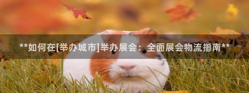 28圈初始资金密码在哪里改：**如何