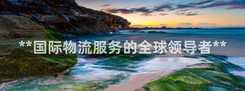 28圈p扣除：**国际物流服务的全球