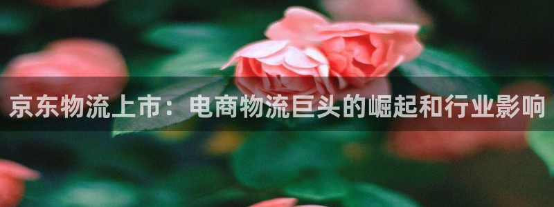 28圈比特28预测在线预测：京东物流