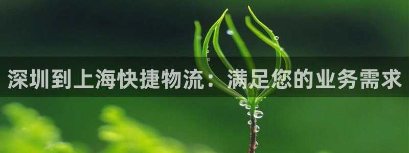 28圈链接