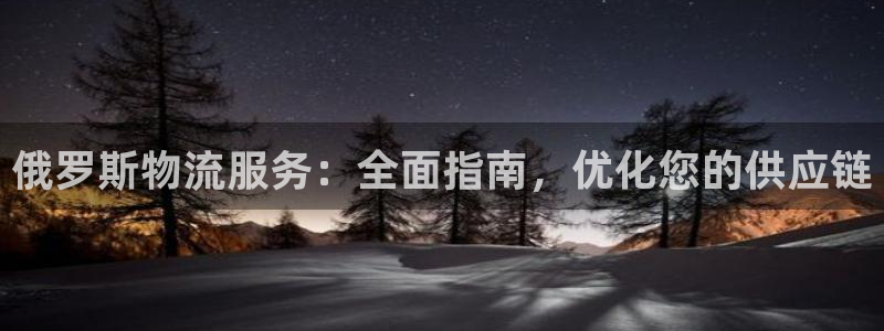 28圈ccm官网版：俄罗斯物流服务：