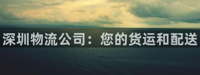 28圈注册网站加拿大：深圳物流公司：